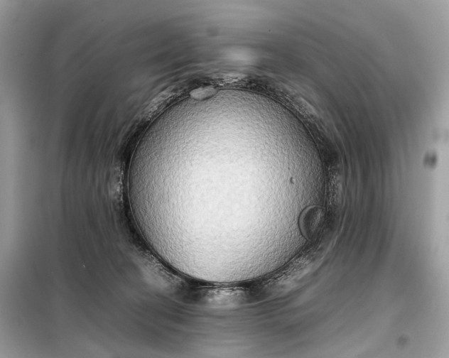 X0000099230274200805081604