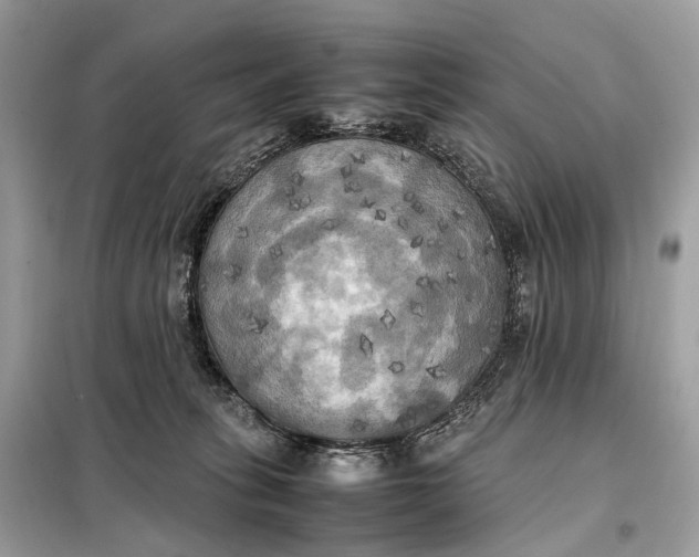 X0000099230275200805081604