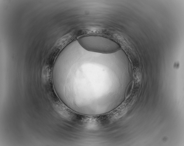 X0000099230276200805081604