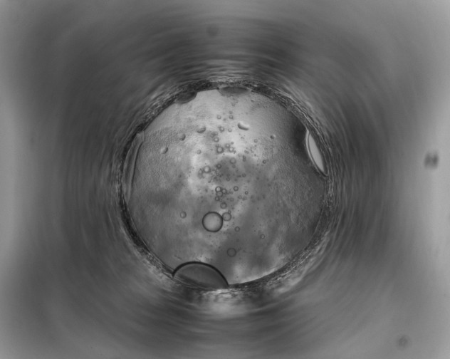 X0000099230277200805081604