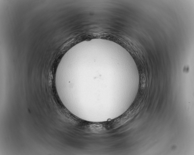 X0000099230279200805081604