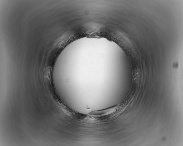 X0000099230280200805081604