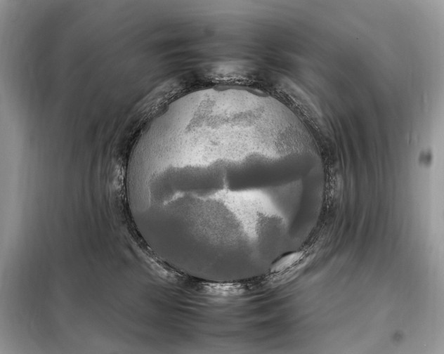 X0000099230281200805081604