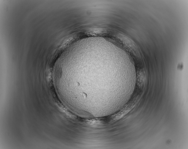 X0000099230284200805081605