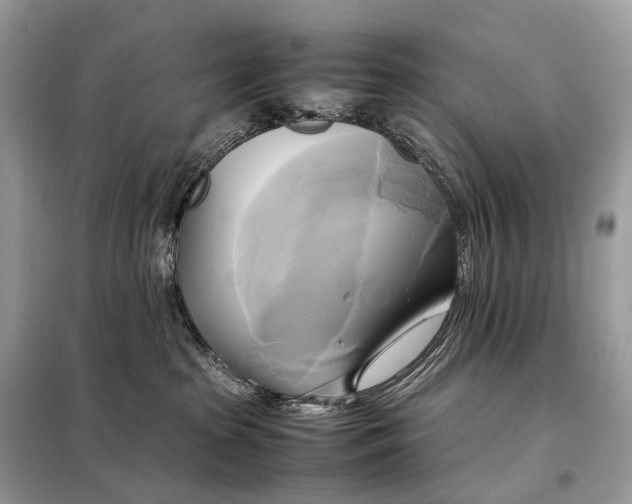 X0000099230285200805081605