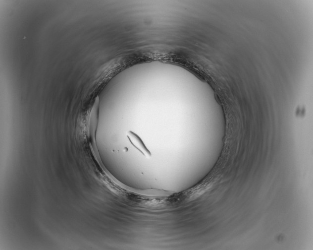 X0000099230288200805081605