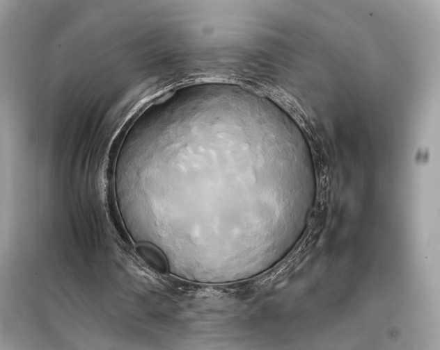 X0000099230290200805081604