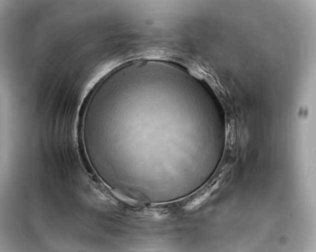 X0000099230292200805081604