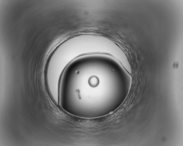 X0000099230293200805081604