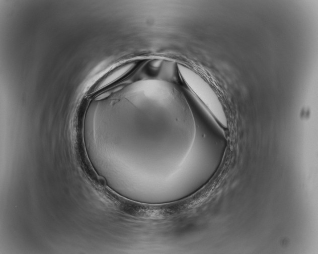 X0000099230295200805081604