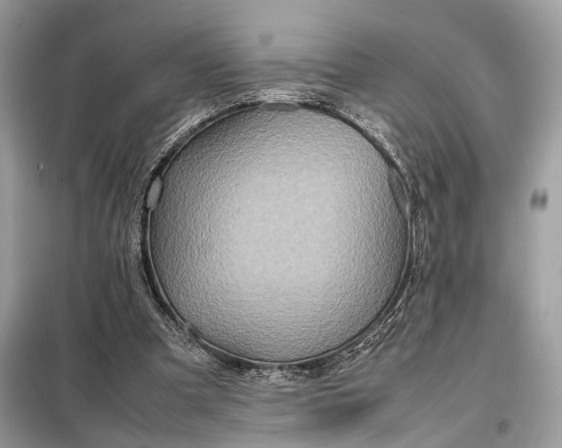 X0000099230297200805081604