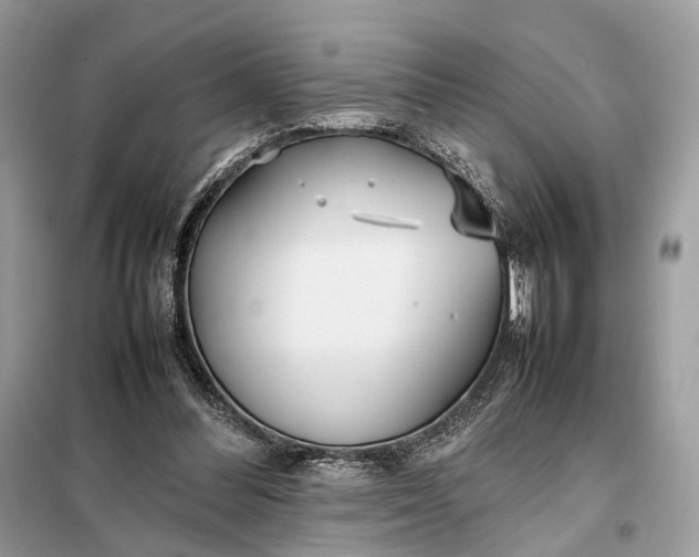 X0000099230300200805081604