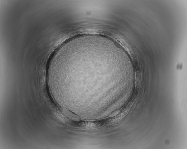 X0000099230301200805081604