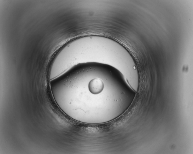 X0000099230302200805081604