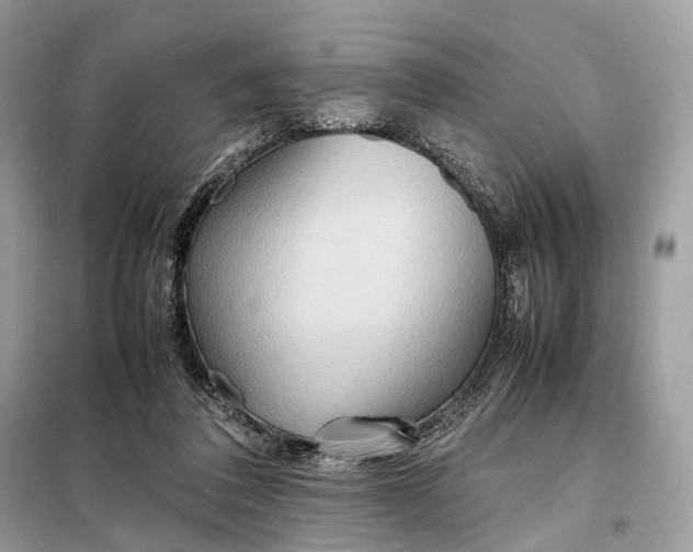 X0000099230308200805081603