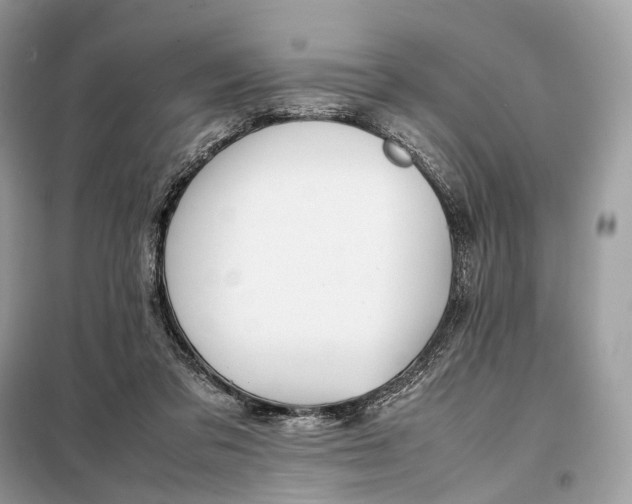 X0000099230309200805081603