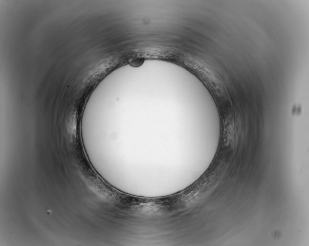 X0000099230310200805081603