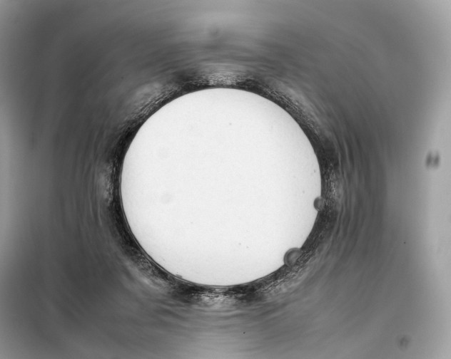 X0000099230311200805081603