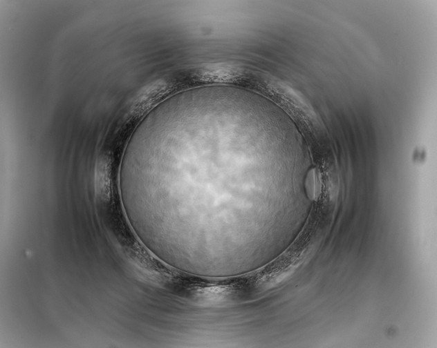 X0000099230312200805081603