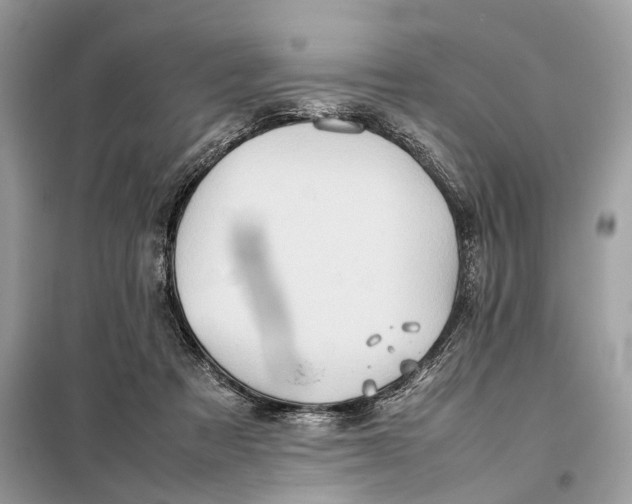 X0000099230313200805081603