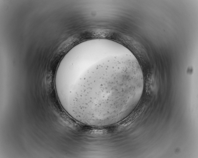 X0000099230314200805081603