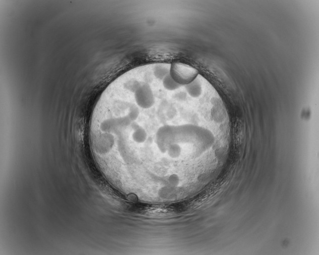 X0000099230315200805081603