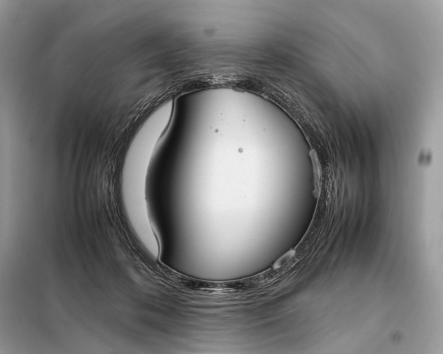 X0000099230316200805081603