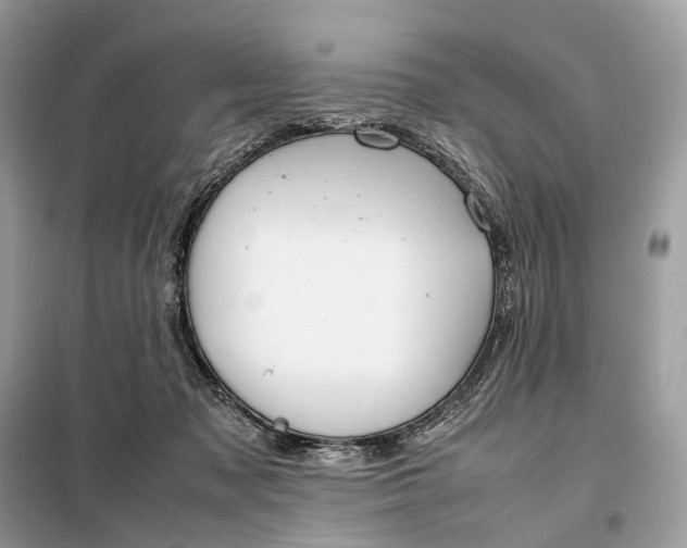 X0000099230317200805081603