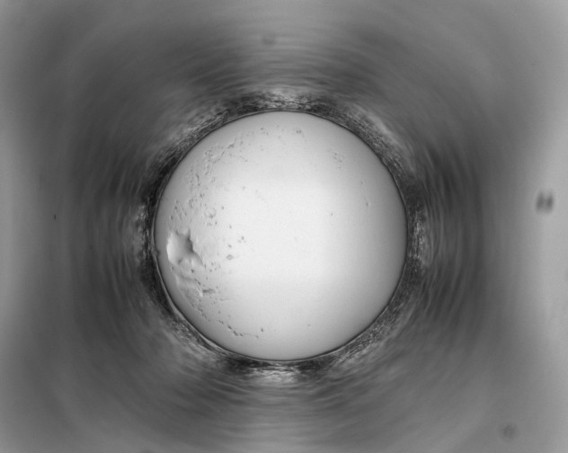 X0000099230318200805081603