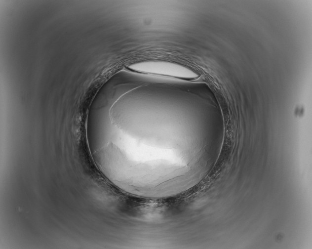 X0000099230319200805081603