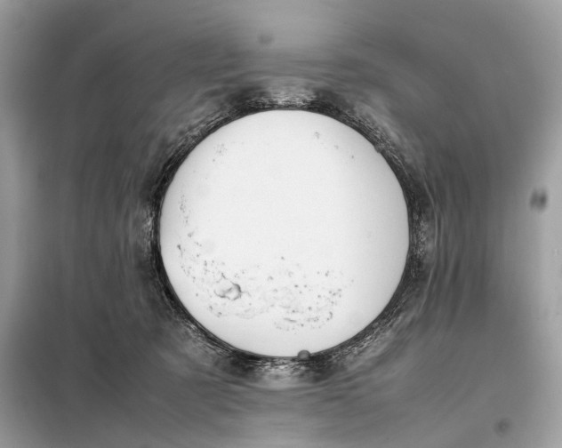 X0000099230321200805081603