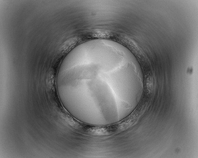 X0000099230322200805081603