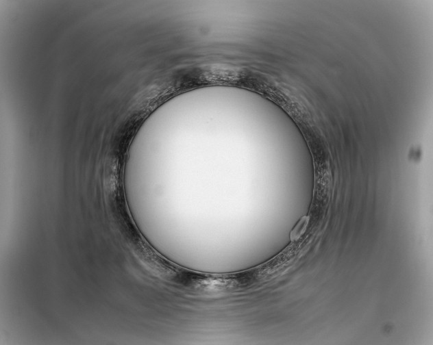 X0000099230323200805081603