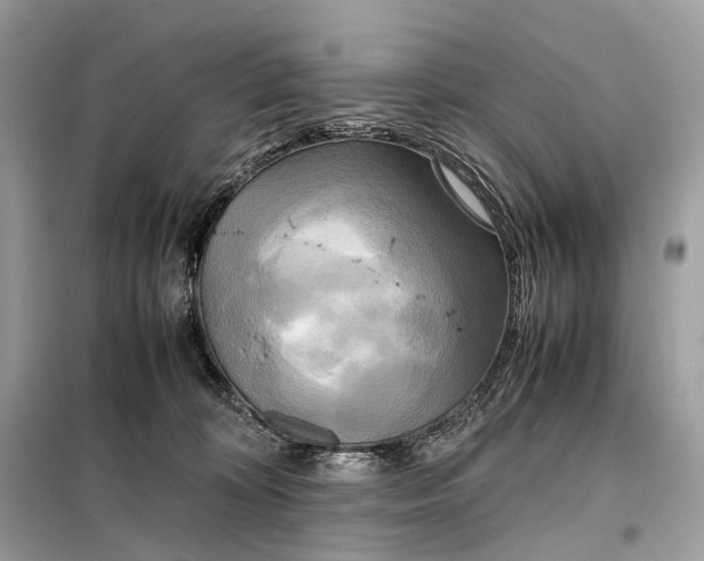 X0000099230324200805081603