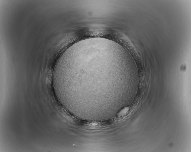 X0000099230325200805081603