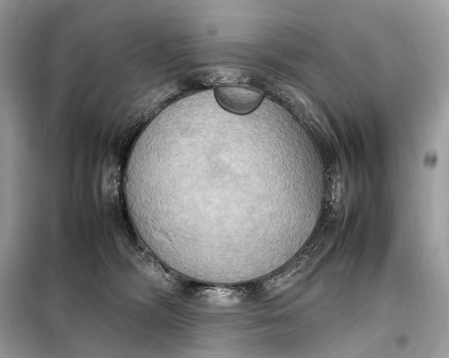 X0000099230326200805081603