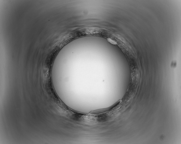 X0000099230327200805081603