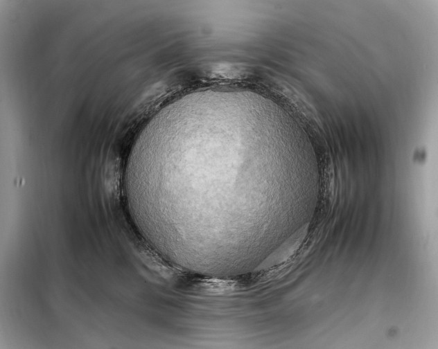 X0000099230328200805081603