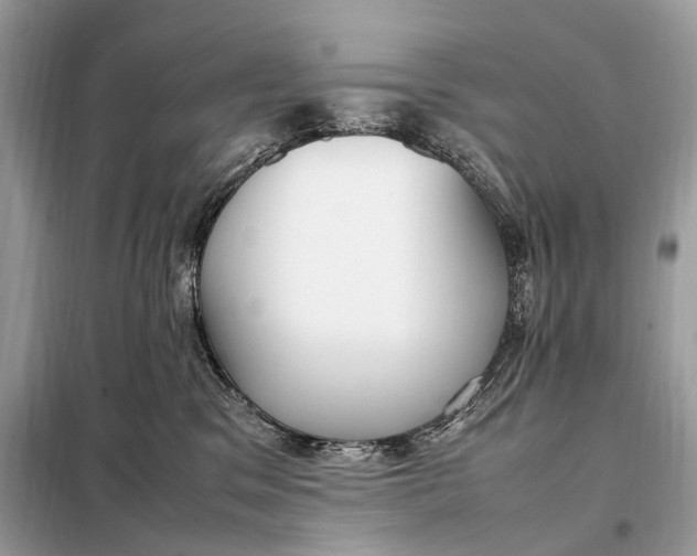 X0000099230329200805081603