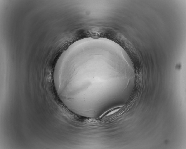 X0000099230331200805081603