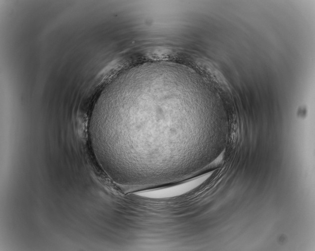 X0000099230332200805081603