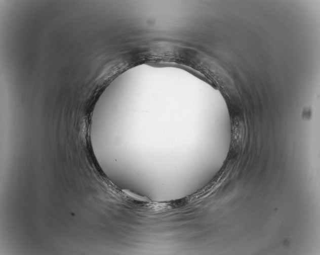 X0000099230333200805081603