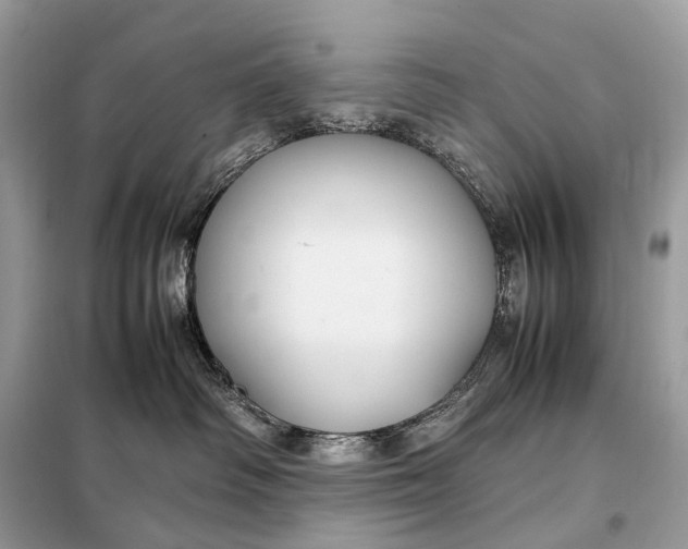 X0000099230334200805081603