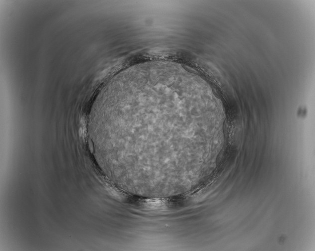 X0000099230335200805081603