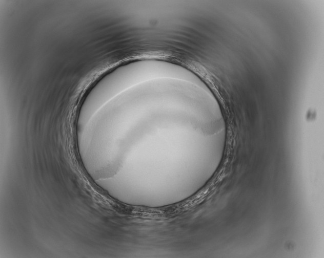 X0000099230337200805081602