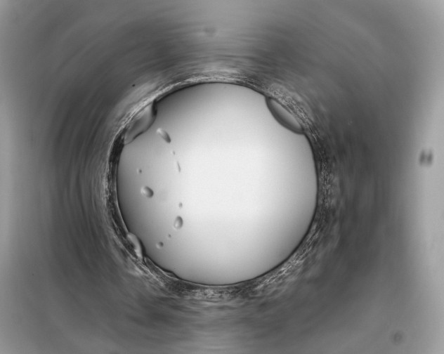 X0000099230338200805081602