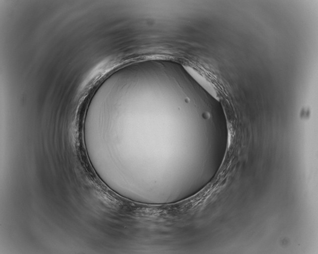 X0000099230339200805081602