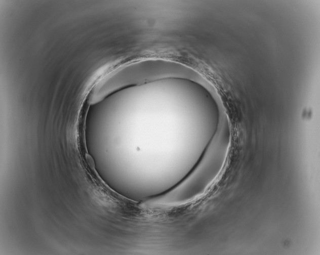 X0000099230340200805081602