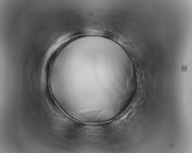 X0000099230343200805081602