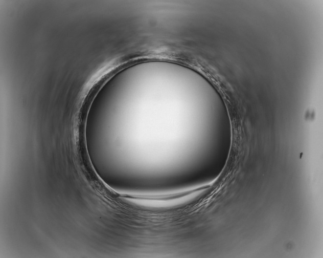 X0000099230344200805081602